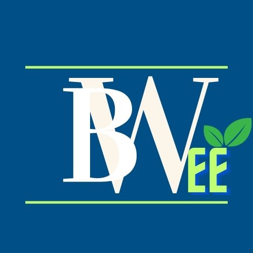 Logo Design and Website DEvelopment Work by Abunvo Digital Solutions